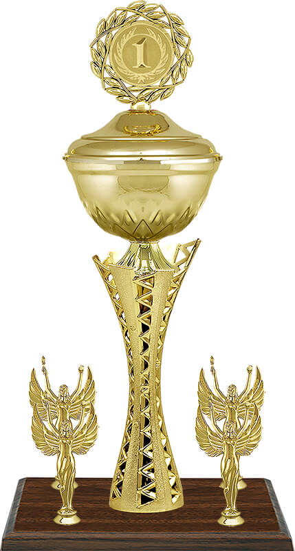 Кубок Хилтон 1 место