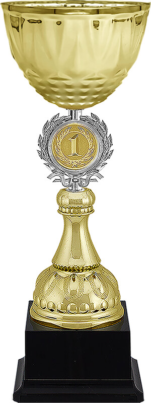 Кубок Чарлик 1 место