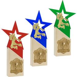 Награда баскетбол