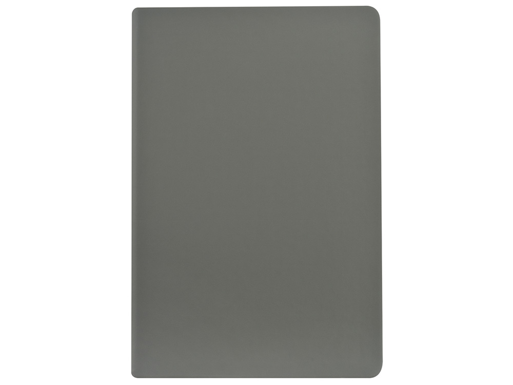 Ежедневник А5 датированный Megapolis Color 2026, серый