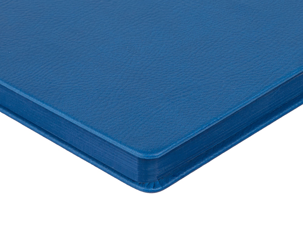 Ежедневник А5 датированный Megapolis Nappa на 2026, синий