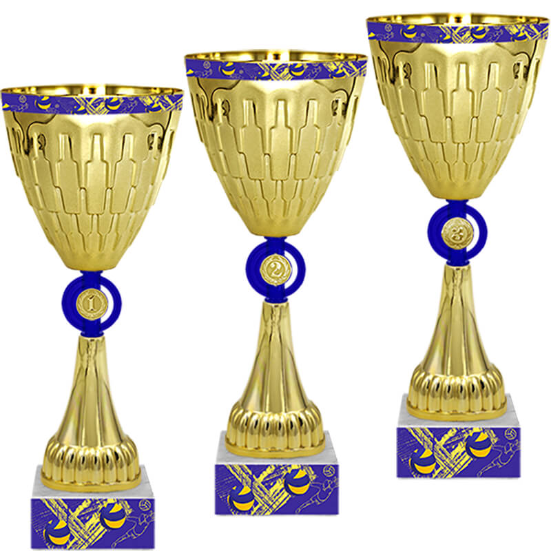 Кубок Удрис 3 место