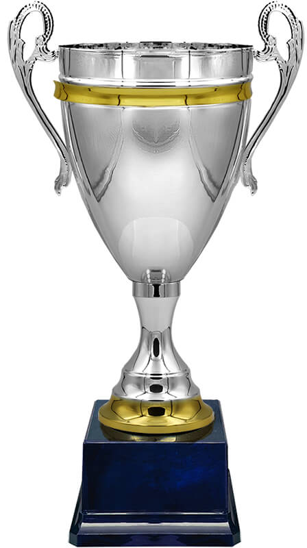 Кубок Никель