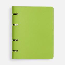 Ежедневник Ringo, недатированный, зеленый Ежедневник Ringo, недатированный, зеленый