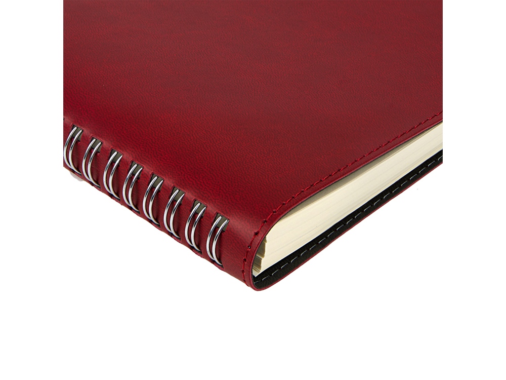 Ежедневник А5 Tintoretto, бордовый