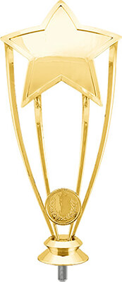 Фигура Звезда