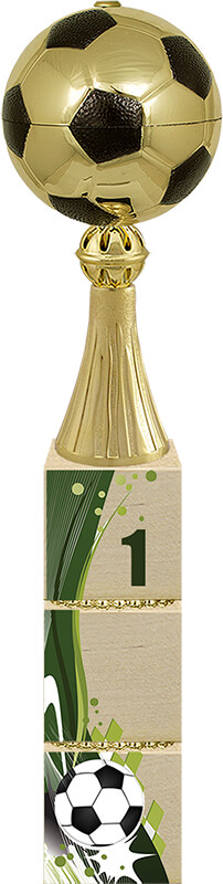 Кубок Вингер 1 место