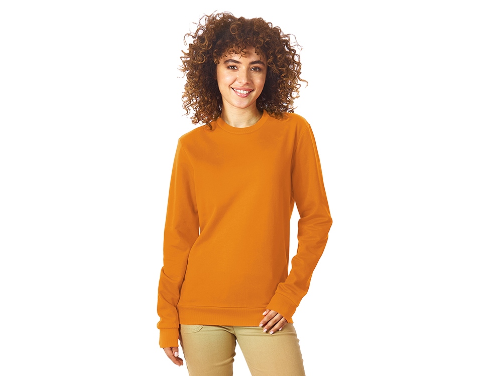 Свитшот Motion унисекс с начесом, оранжевый Свитшот Motion унисекс с начесом, оранжевый