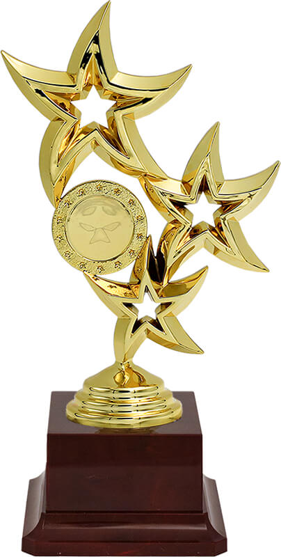 Награда (бордовая)