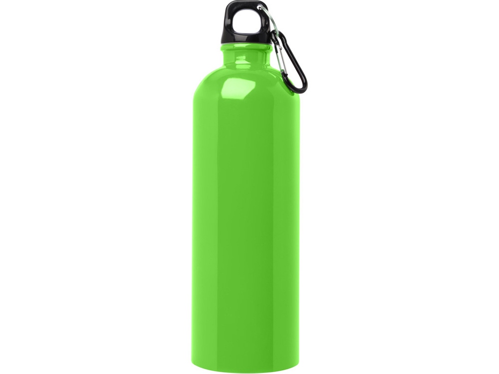 Одностенная бутылка для воды с карабином Oregon, изготовленная из нержавеющей стали, сертифицированной по стандарту RCS, объемом 750 мл - Зеленое яблоко