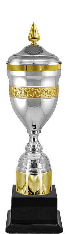 Кубок Кэлвин