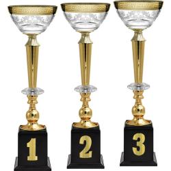 Кубок Эллея 3 место