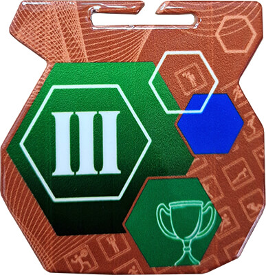 Медаль Архимед III место Медаль Архимед III место