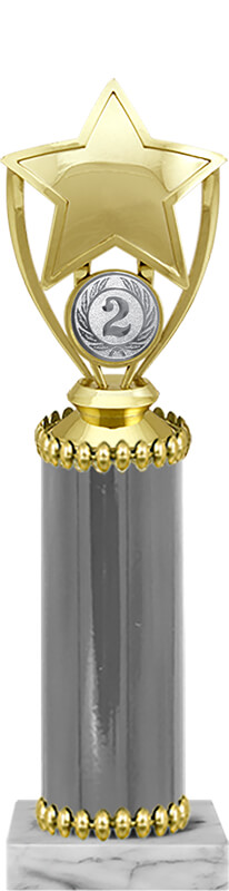 Награда 2 место