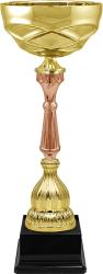 Кубок Тэмпли Кубок Тэмпли