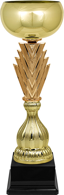 Кубок Зингер