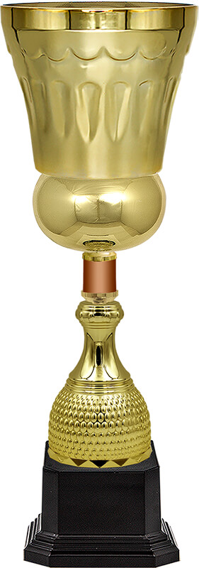 Кубок Штольц (под бронзу)