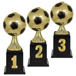 Кубок Мерхер 1 место