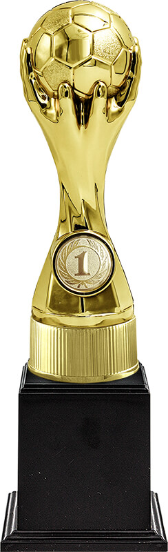 Награда-кубок 1 место