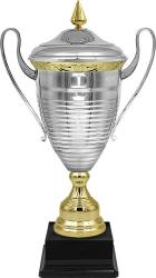 Кубок Марчелло Кубок Марчелло