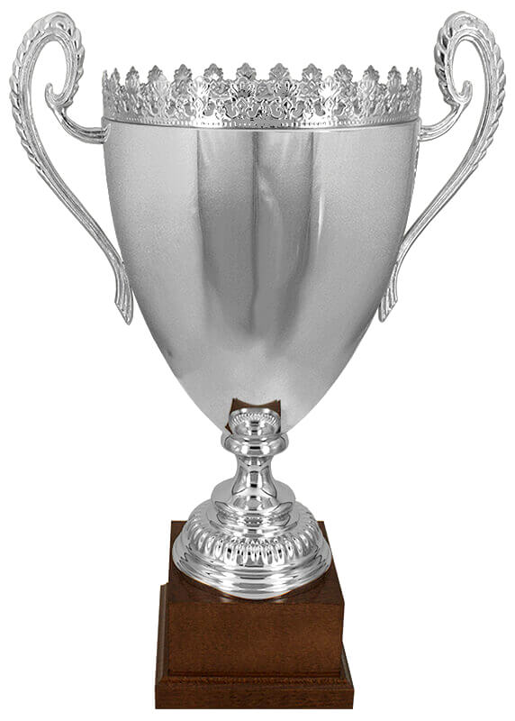 Кубок Лангепас