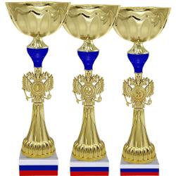Кубок Бригадир 3 (1 место, синий)