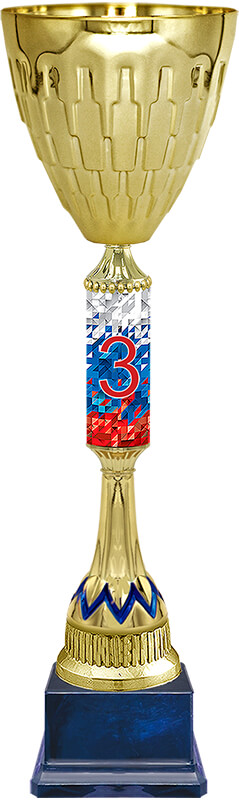 Кубок Альф 3 место