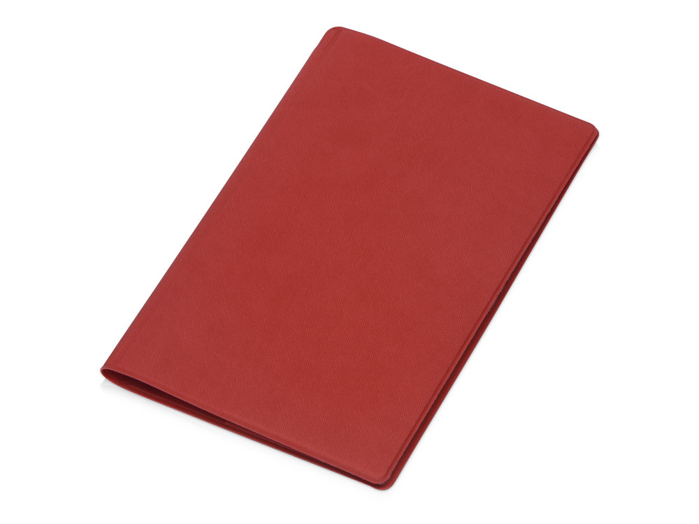 Семейный органайзер для путешественника Famtrip, красный