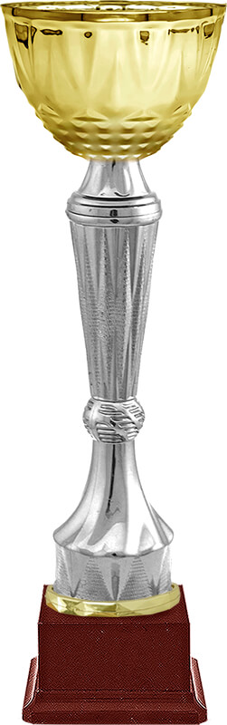 Кубок Бухер