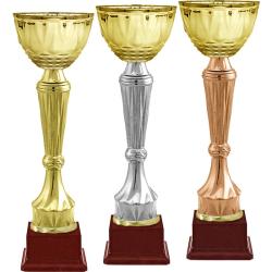 Кубок Бухер