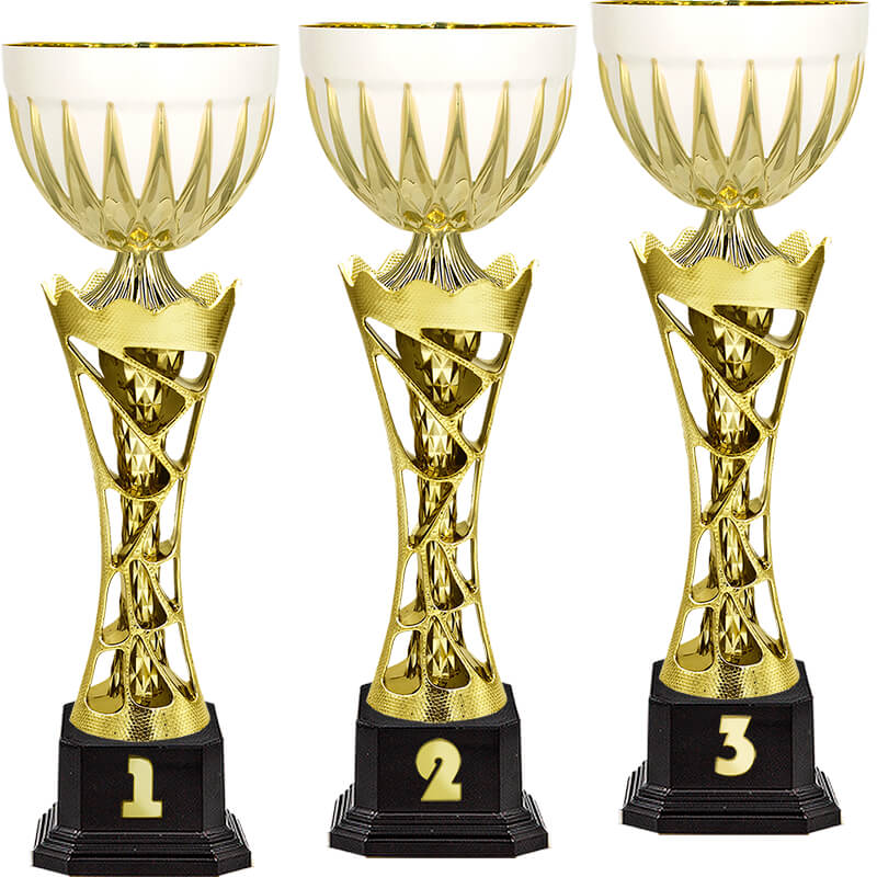 Кубок Арамис 1 место