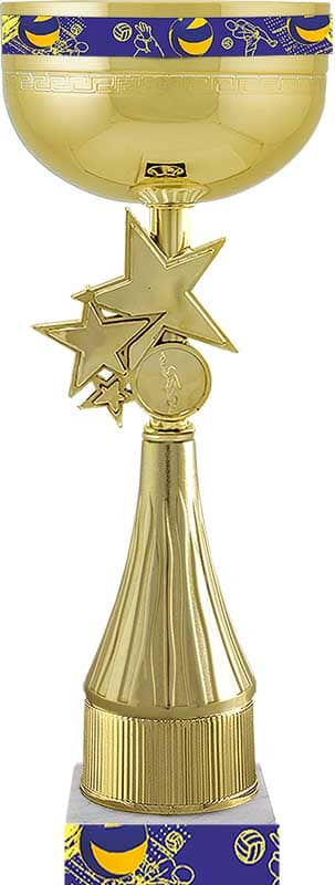 Кубок Сектор (баскетбол) Кубок Сектор (баскетбол)