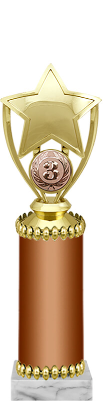 Награда 3 место