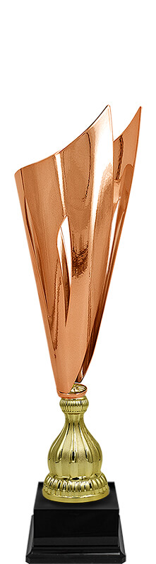 Кубок Штефан (под бронзу)