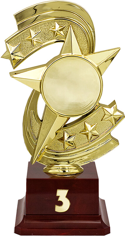 Награда 3 место