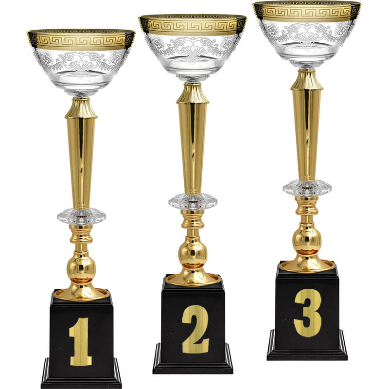 Кубок Эллея 3 место