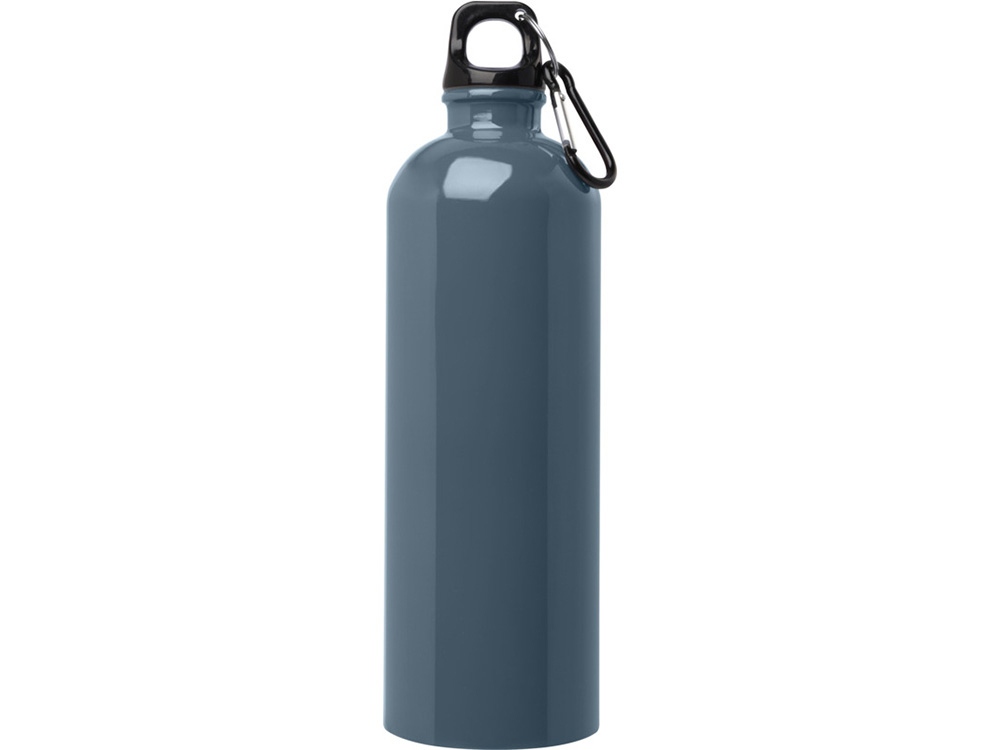Одностенная бутылка для воды с карабином Oregon, изготовленная из нержавеющей стали, сертифицированной по стандарту RCS, объемом 750 мл - Hale Blue