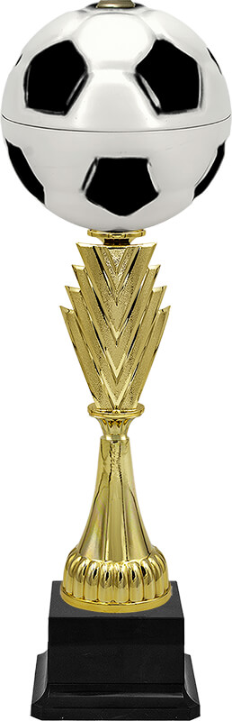 Кубок Свен (Футбол)