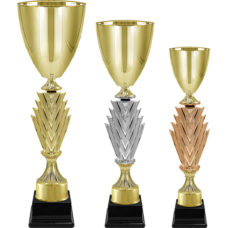 Кубок Чарити (под бронзу)