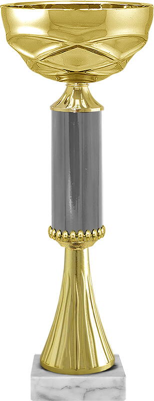 Кубок Айран