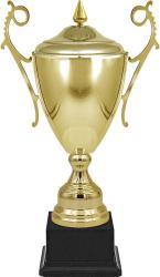 Кубок Самрат