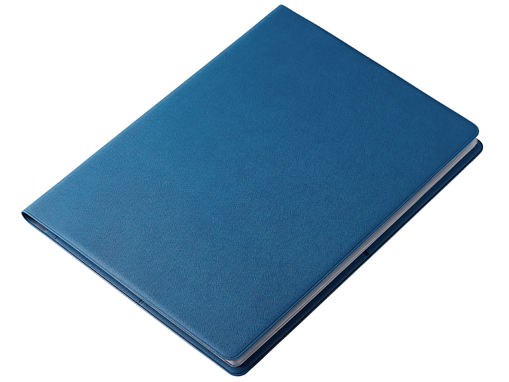 Органайзер Favor 2.0 для семейных документов на 4 комплекта документов, формат А4, синий