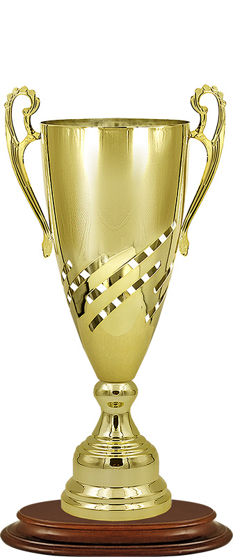 Кубок Симон