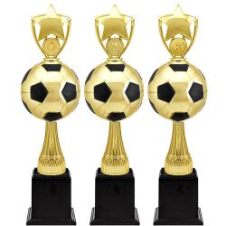 Награда-кубок Рауль 3 место