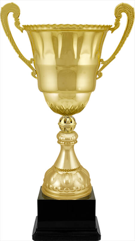 Кубок Стинг