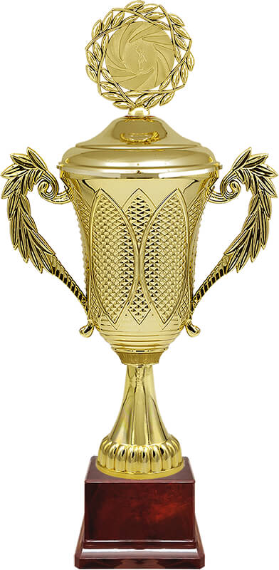 Кубок Гордан (бордо)