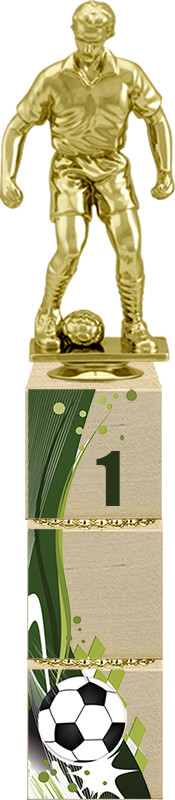 Награда Футбол 1 место