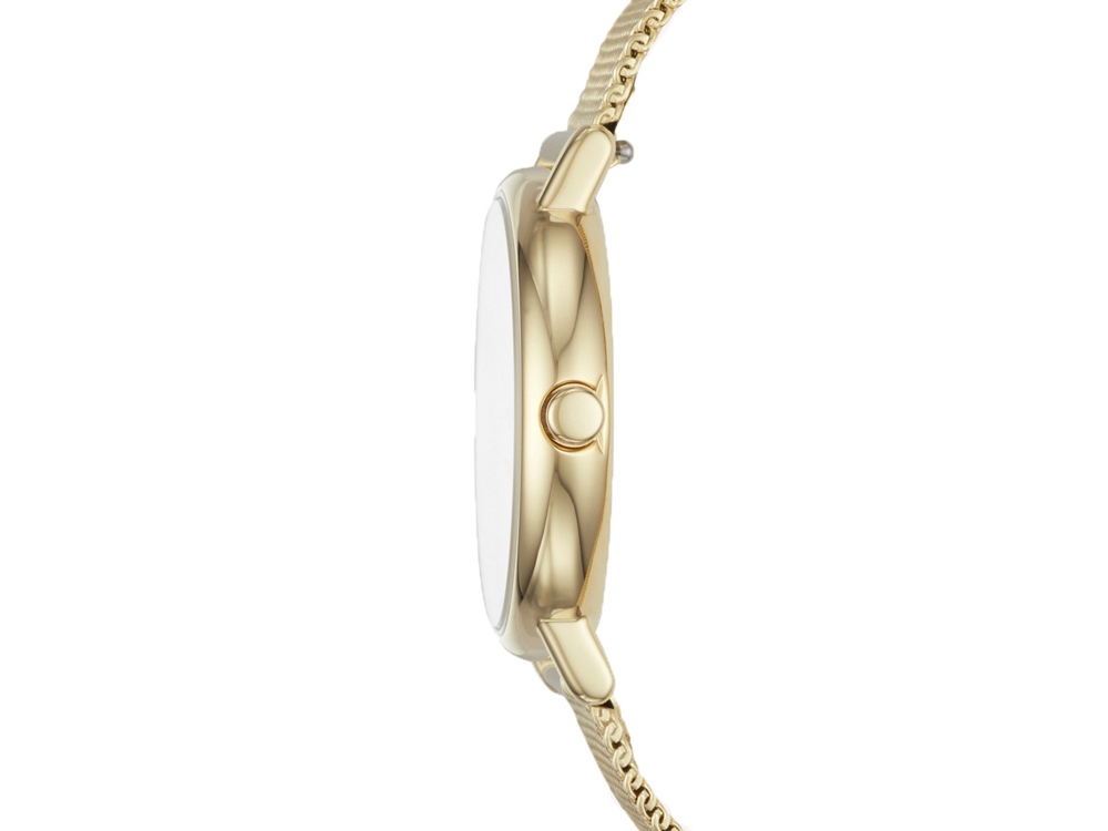 Часы наручные, женские. Skagen