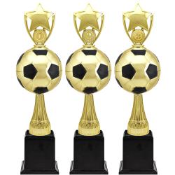 Награда-кубок Рауль 3 место Награда-кубок Рауль 3 место