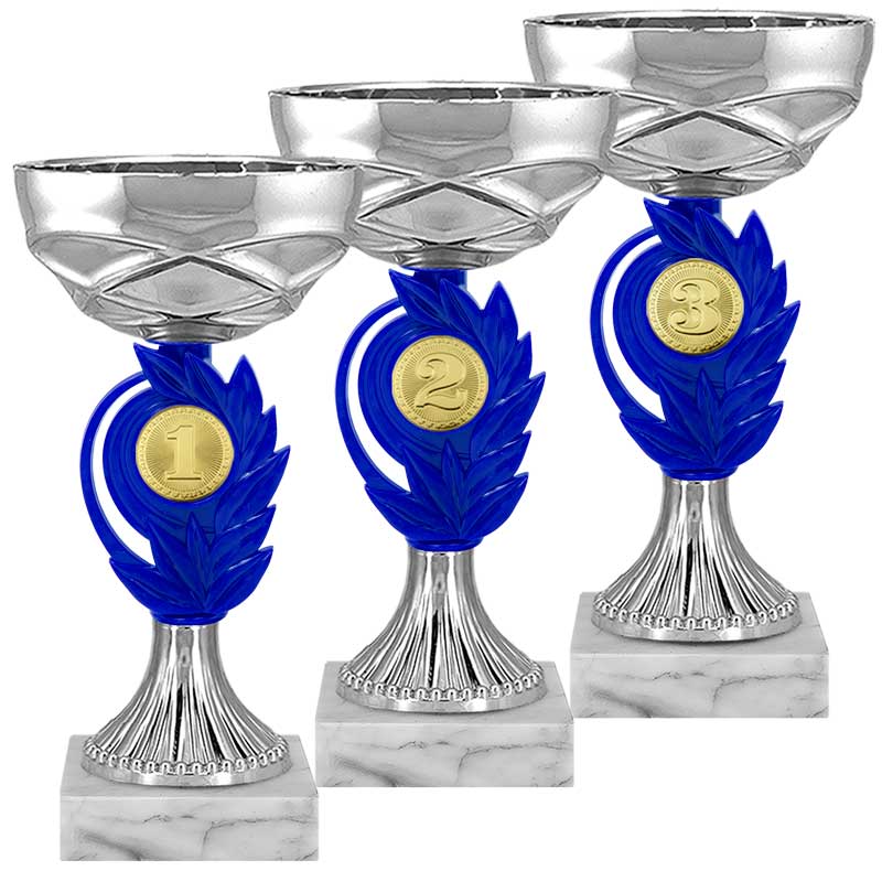 Кубок 1 место